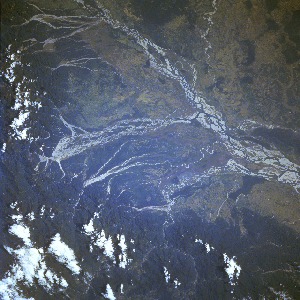View Image Information