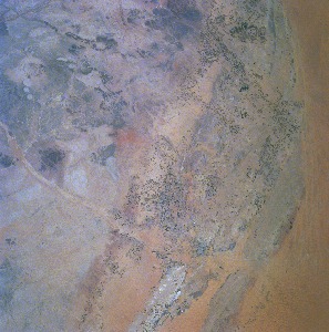 View Image Information