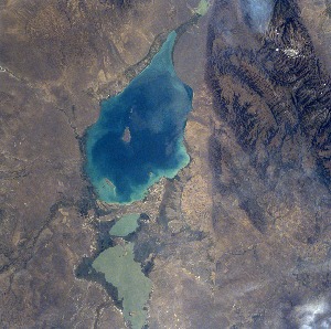 View Image Information