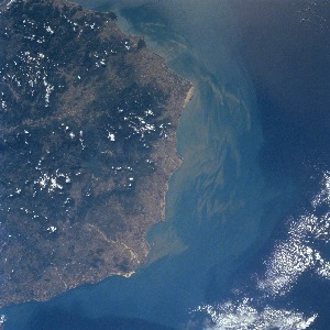 View Image Information