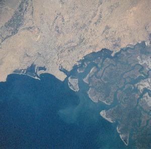 View Image Information