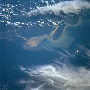 View Image Information