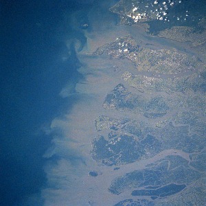 View Image Information