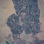 View Image Information