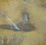 View Image Information