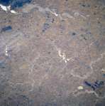 View Image Information