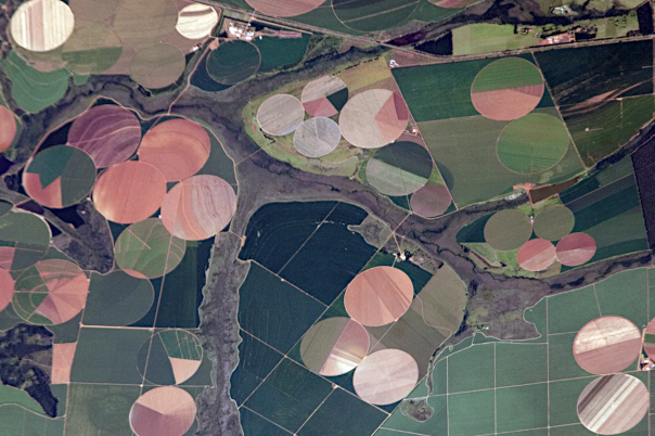 Agriculture Category Image